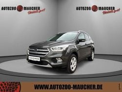 Magneticgrau Gebraucht 2020 Ford Kuga SUV | 18.890 € (Guter Preis)