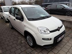 Weiß Gebraucht 2024 Fiat Panda Limousine | 14.990 € (Teuer)