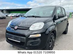 Schwarz Gebraucht 2015 Fiat Panda Pop Kleinwagen | 4.800 € (Fairer Preis)