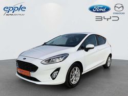 Frozen white Gebraucht 2020 Ford Fiesta Titanium Kleinwagen | 14.990 € (Teuer)