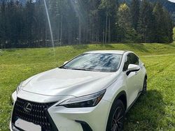 Weiß Gebraucht 2024 Lexus NX350h Business Edition SUV | 42.860 €