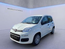 Weiß Neu 2025 Fiat Panda Pop Limousine | 16.490 € (Etwas zu teuer)