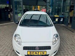 Weiß Gebraucht 2009 Fiat Punto Kleinwagen | 1.500 € (Fairer Preis)