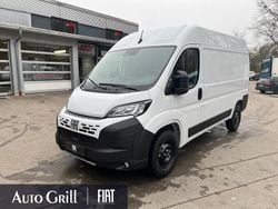 Weiß ducato weiß Neu 2025 Fiat Ducato Van | 34.615 € (Fairer Preis)