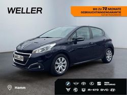 Blau Gebraucht 2019 Peugeot 208 Active Kleinwagen | 9.680 € (Guter Preis)