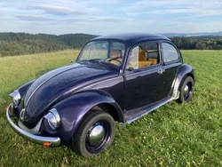 VW Käfer