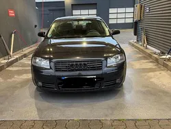 Schwarz Gebraucht 2003 Audi A3 | 1.500 € (Guter Preis)