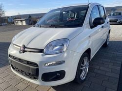 Weiß Gebraucht 2020 Fiat Panda Easy Limousine | 7.700 € (Guter Preis)