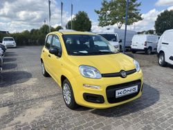 Gelb Neu 2025 Fiat Grande Panda Kleinwagen | 12.698 € (Fairer Preis)