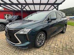 Grün Neu 2025 DFSK Forthing 4 Van / Kleinbus | 31.400 € (Fairer Preis)