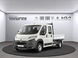 Grau Neu 2025 Opel Movano Van | 40.890 € (Teuer)