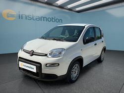 Weiß Gebraucht 2023 Fiat Panda Kleinwagen | 14.499 € (Teuer)