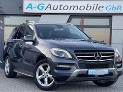 Tenoritgrau Gebraucht 2012 Mercedes ML350 Sport SUV | 23.900 € (Fairer Preis)