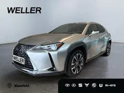 Andere Gebraucht 2022 Lexus UX SUV | 26.480 €