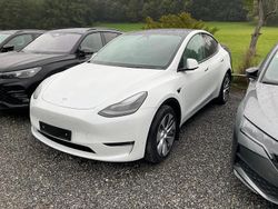 Pearl white multi coat Gebraucht 2023 Tesla Model Y SUV | 40.495 € (Etwas zu teuer)
