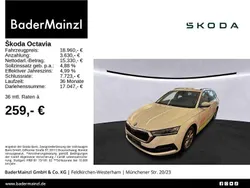 Weiß Gebraucht 2021 Skoda Octavia Ambition Kombi | 18.960 € (Fairer Preis)