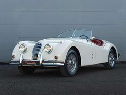 Weiß Gebraucht 1954 Jaguar XK Cabrio | 139.500 €