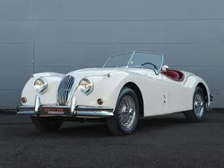 Weiß Gebraucht 1954 Jaguar XK Cabrio | 139.500 €