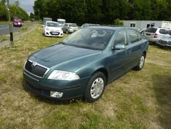 Grün Gebraucht 2005 Skoda Octavia Limousine | 6.990 € (Teuer)