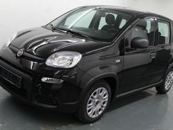Schwarz Gebraucht 2022 Fiat Panda Kleinwagen | 12.499 € (Fairer Preis)