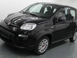 Schwarz Gebraucht 2023 Fiat Panda Kleinwagen | 12.929 € (Fairer Preis)