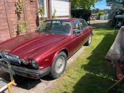 Gebraucht 1992 Jaguar XJ12 Limousine | 18.500 €