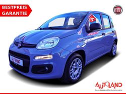 Grau Gebraucht 2019 Fiat Panda Easy Kleinwagen | 10.890 € (Etwas zu teuer)