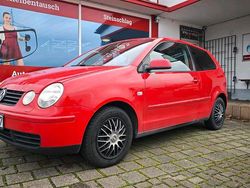 Rot Gebraucht 2004 VW Polo Kleinwagen | 1.749 € (Fairer Preis)