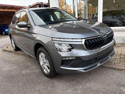 Grau Neu 2025 Skoda Kamiq Selection SUV | 26.300 € (Guter Preis)