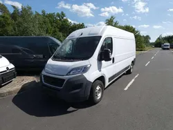 Weiß Gebraucht 2021 Fiat Ducato Van | 18.921 € (Superpreis)