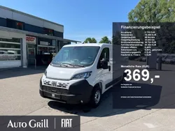 Weiß ducato weiß Neu 2025 Fiat Ducato 33 Van | 36.176 € (Etwas zu teuer)