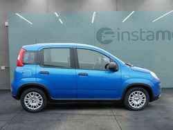Blau Gebraucht 2024 Fiat Panda Kleinwagen | 13.999 € (Teuer)