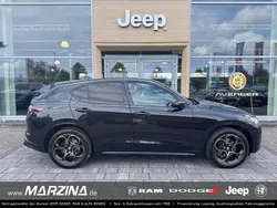 Schwarz Gebraucht 2025 Alfa Romeo Stelvio SUV | 66.890 €