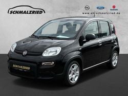 Colore esterno (cinema schwarz Gebraucht 2024 Fiat Panda Kleinwagen | 12.970 € (Guter Preis)