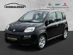 Colore esterno (cinema schwarz Neu 2024 Fiat Panda Kleinwagen | 12.970 €