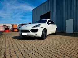Weiß Gebraucht 2012 Porsche Cayenne SUV | 26.600 € (Etwas zu teuer)