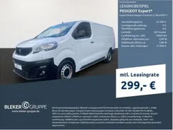 Schneeweiß Gebraucht 2023 Peugeot Expert Premium Van | 25.990 € (Etwas zu teuer)