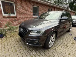 Grau Gebraucht 2016 Audi SQ5 Ambiente SUV | 29.950 € (Teuer)