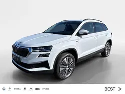Weiß Neu 2025 Skoda Karoq Tour SUV | 35.590 € (Fairer Preis)