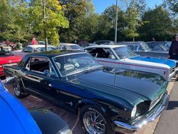 Grün Gebraucht 1964 Ford Mustang Limousine | 32.900 €