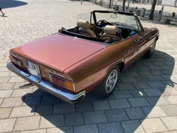 Braun Gebraucht 1981 Alfa Romeo Spider Cabrio | 26.500 €
