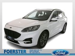 Weiss Gebraucht 2024 Ford Kuga ST-Line X SUV | 28.280 € (Fairer Preis)