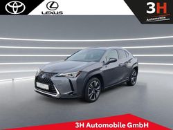 Grau Gebraucht 2021 Lexus UX 250h SUV | 25.990 € (Fairer Preis)