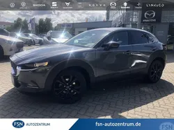 Grau Gebraucht 2024 Mazda CX-30 Homura-Line SUV | 26.940 €