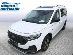 Frozenwhite Neu 2025 Ford Tourneo Active Van / Kleinbus | 37.980 € (Fairer Preis)