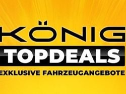 Lightninggrau Gebraucht 2021 Dacia Spring Business Kleinwagen | 9.499 € (Fairer Preis)