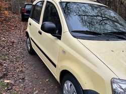Gelb Gebraucht 2010 Fiat Panda Kleinwagen | 1.250 € (Fairer Preis)