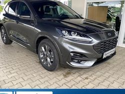 Magneticgrau (metallic) Gebraucht 2024 Ford Kuga ST-Line X SUV | 37.300 € (Teuer)