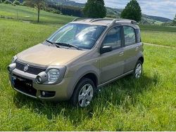 Braun Gebraucht 2006 Fiat Panda 4x4 Kleinwagen | 7.300 €