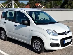 Weiß Gebraucht 2019 Fiat Panda Easy Kleinwagen | 8.990 € (Fairer Preis)